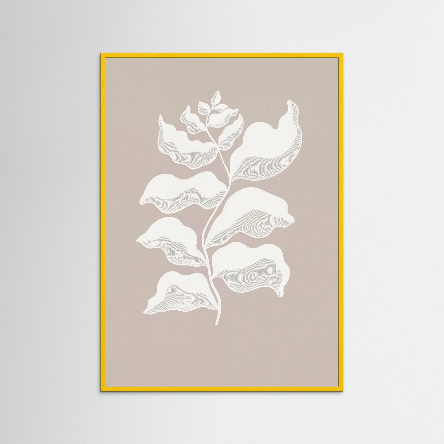 Light Remembering Shape