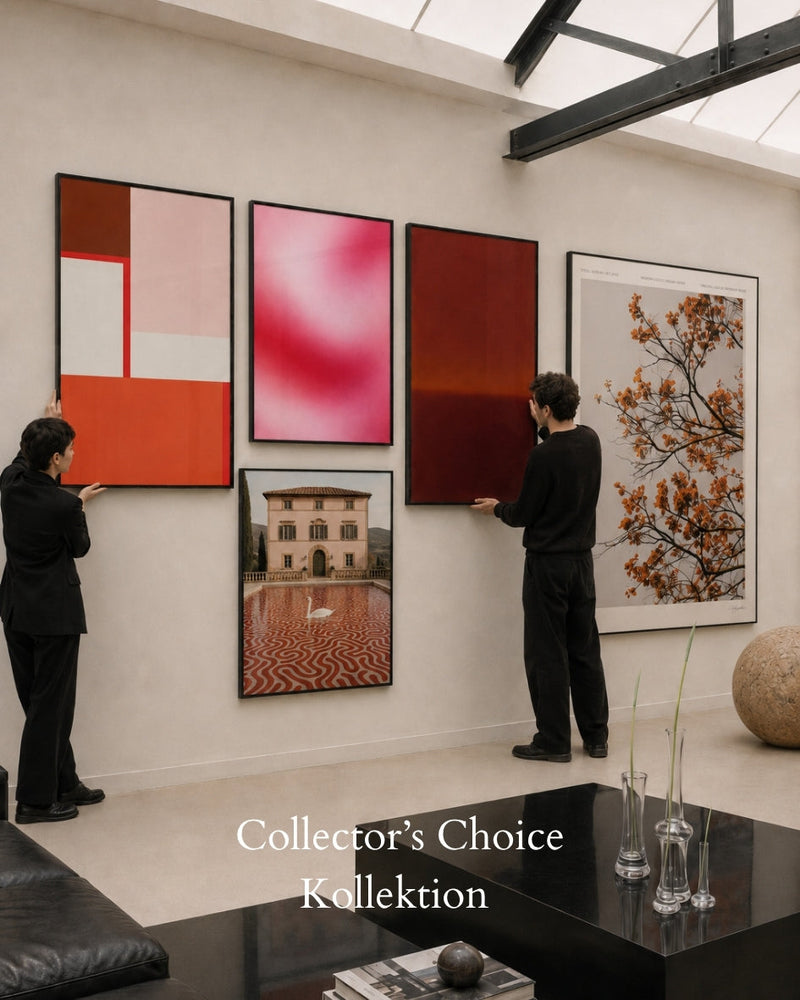 Curator’s Choice