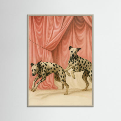 Play Beneath the Curtain