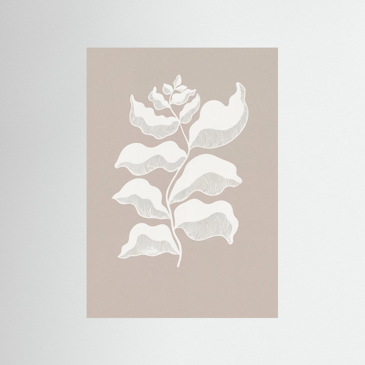 Light Remembering Shape