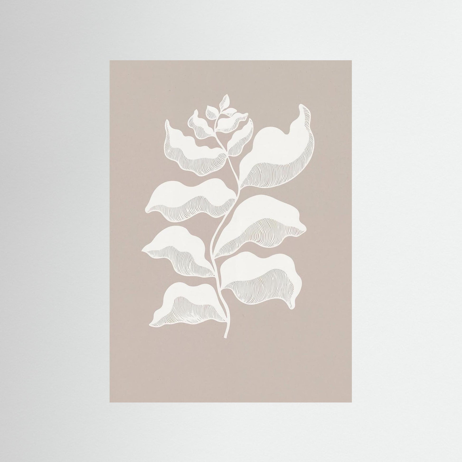 Light Remembering Shape