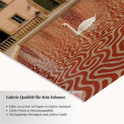 House of Still Currents