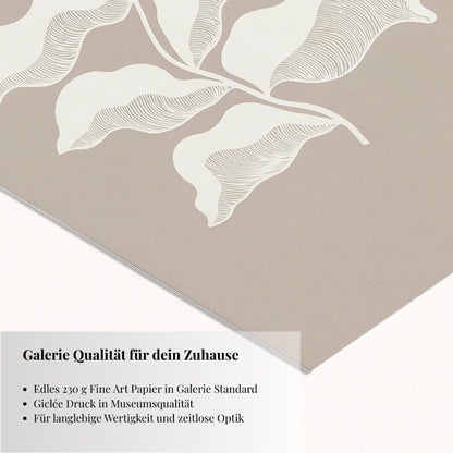 Light Remembering Shape