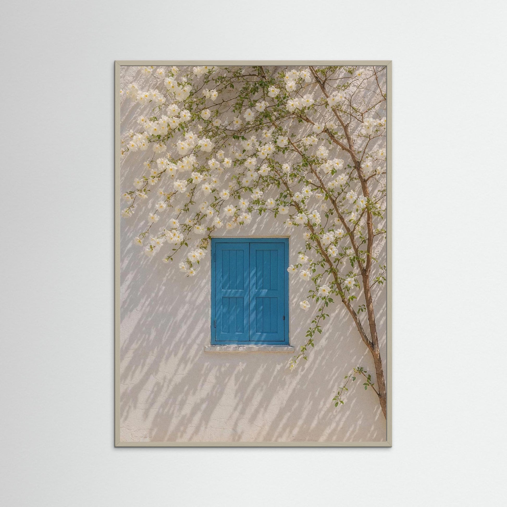 Breath Between Blossoms