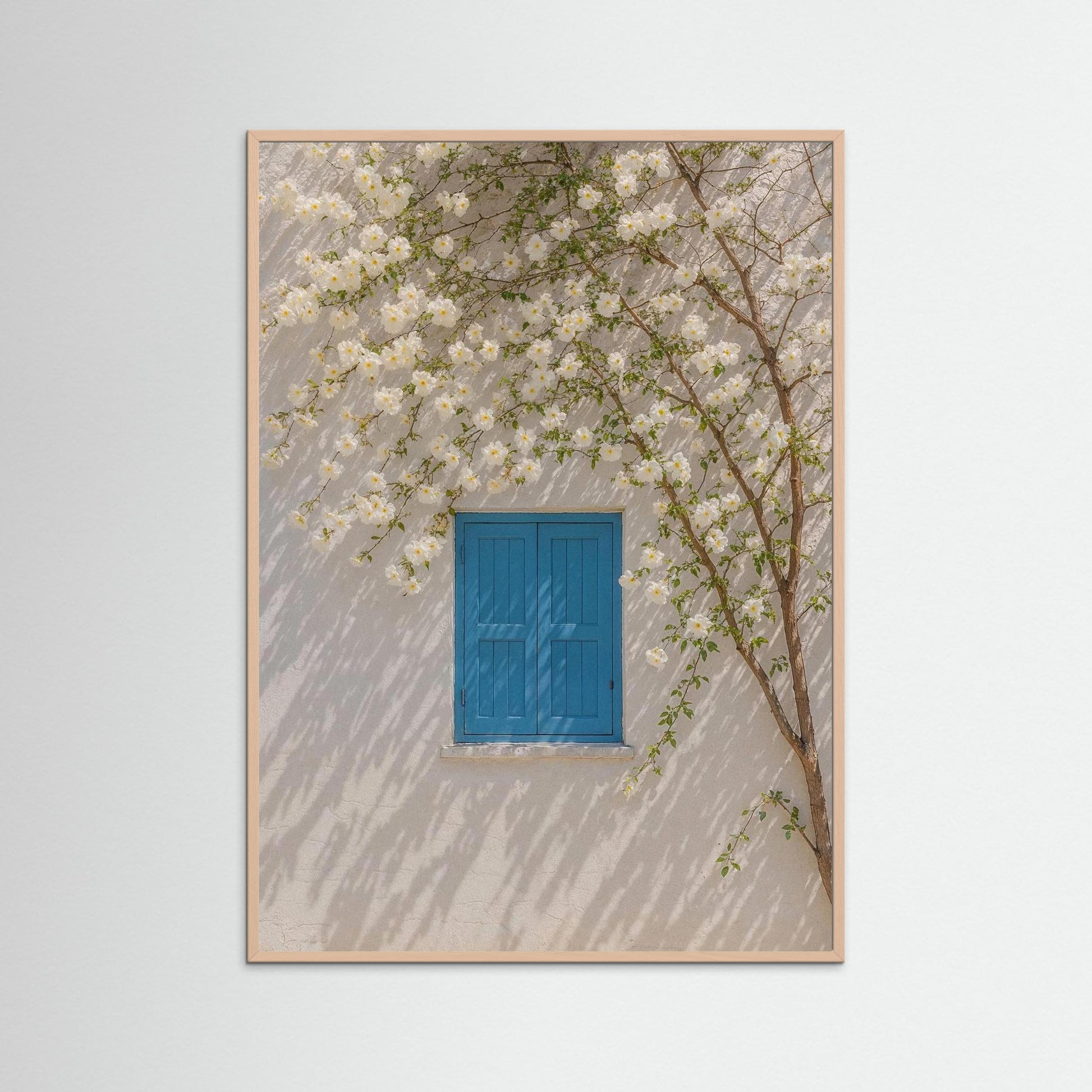 Breath Between Blossoms