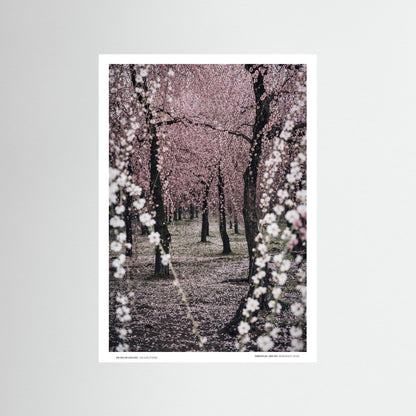 Beauty before Goodbye