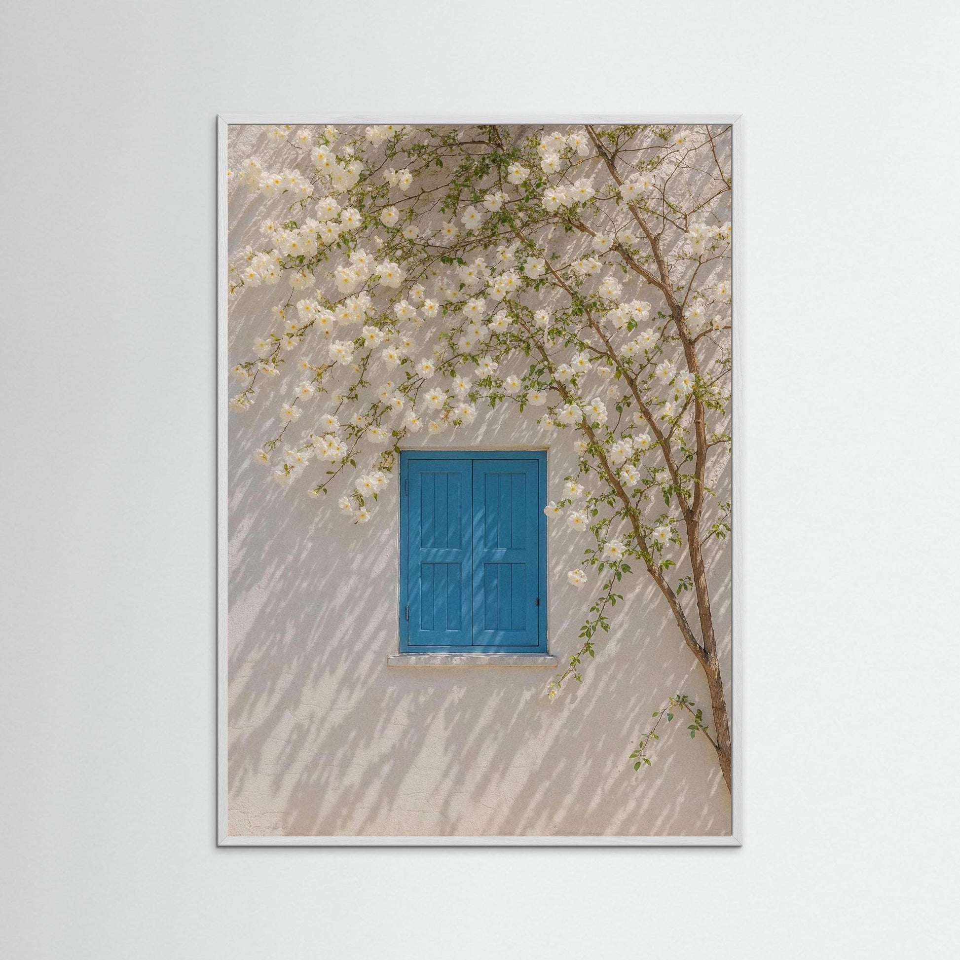 Breath Between Blossoms