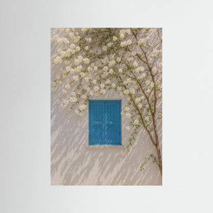 Breath Between Blossoms