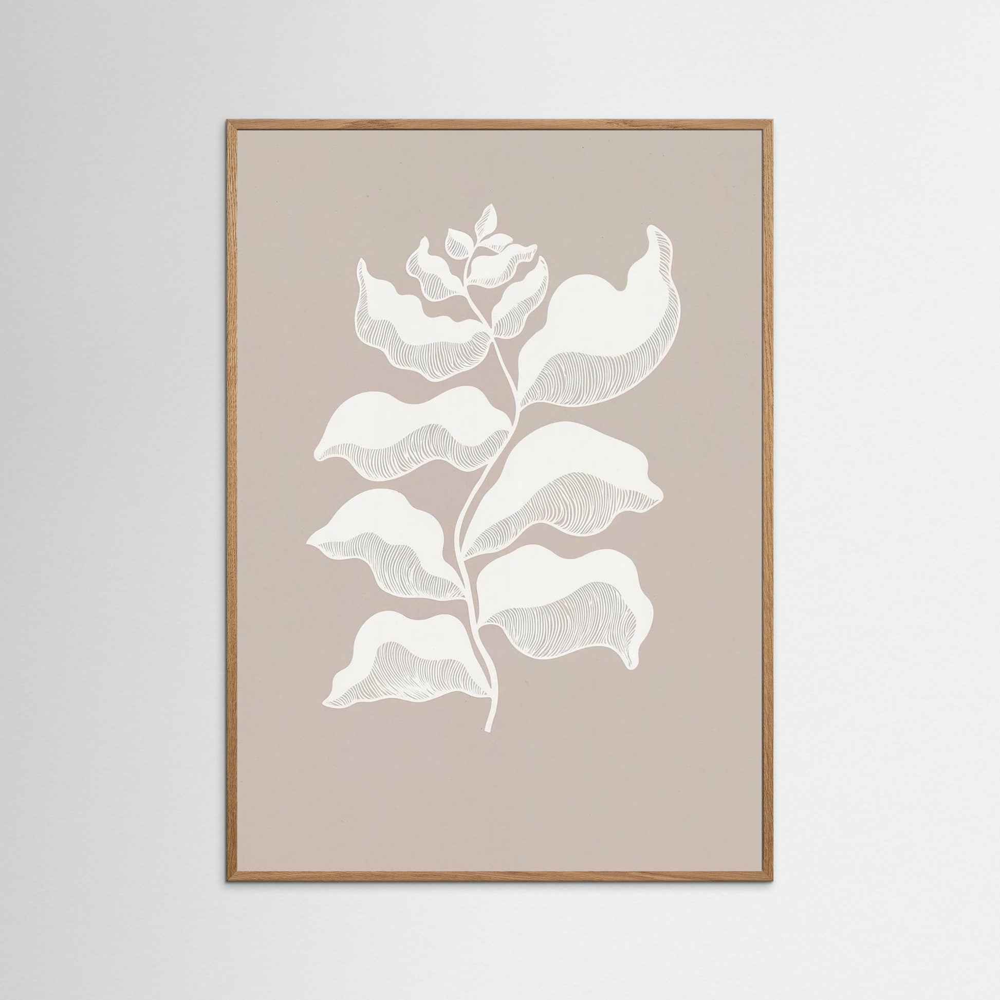 Light Remembering Shape